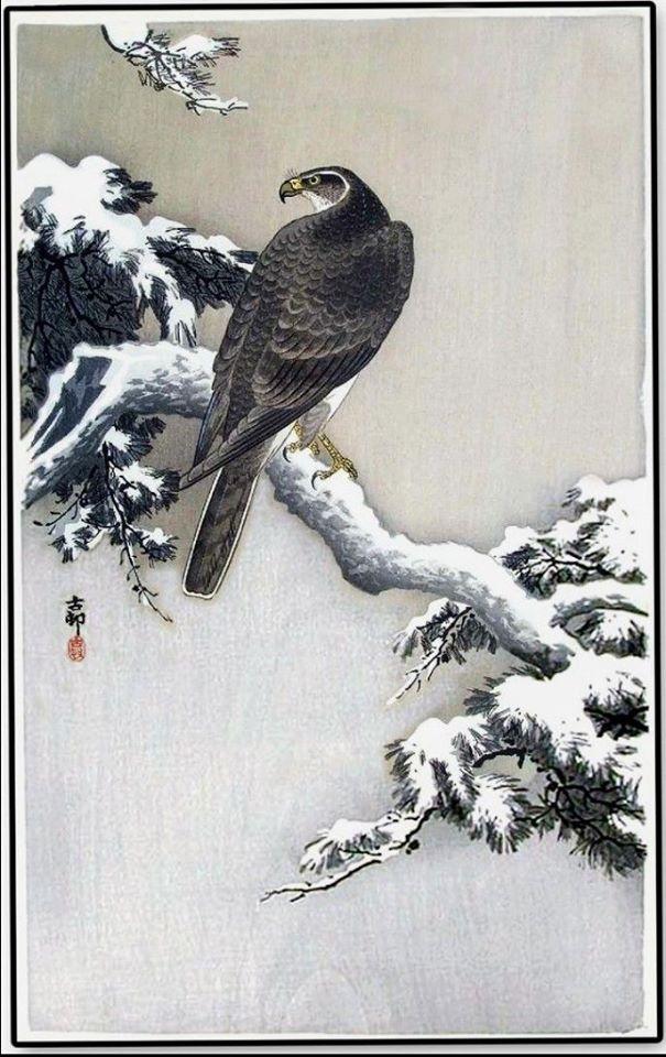 Goshawk on a Snow-covered Pine by Ohara Koson (1877-1945)